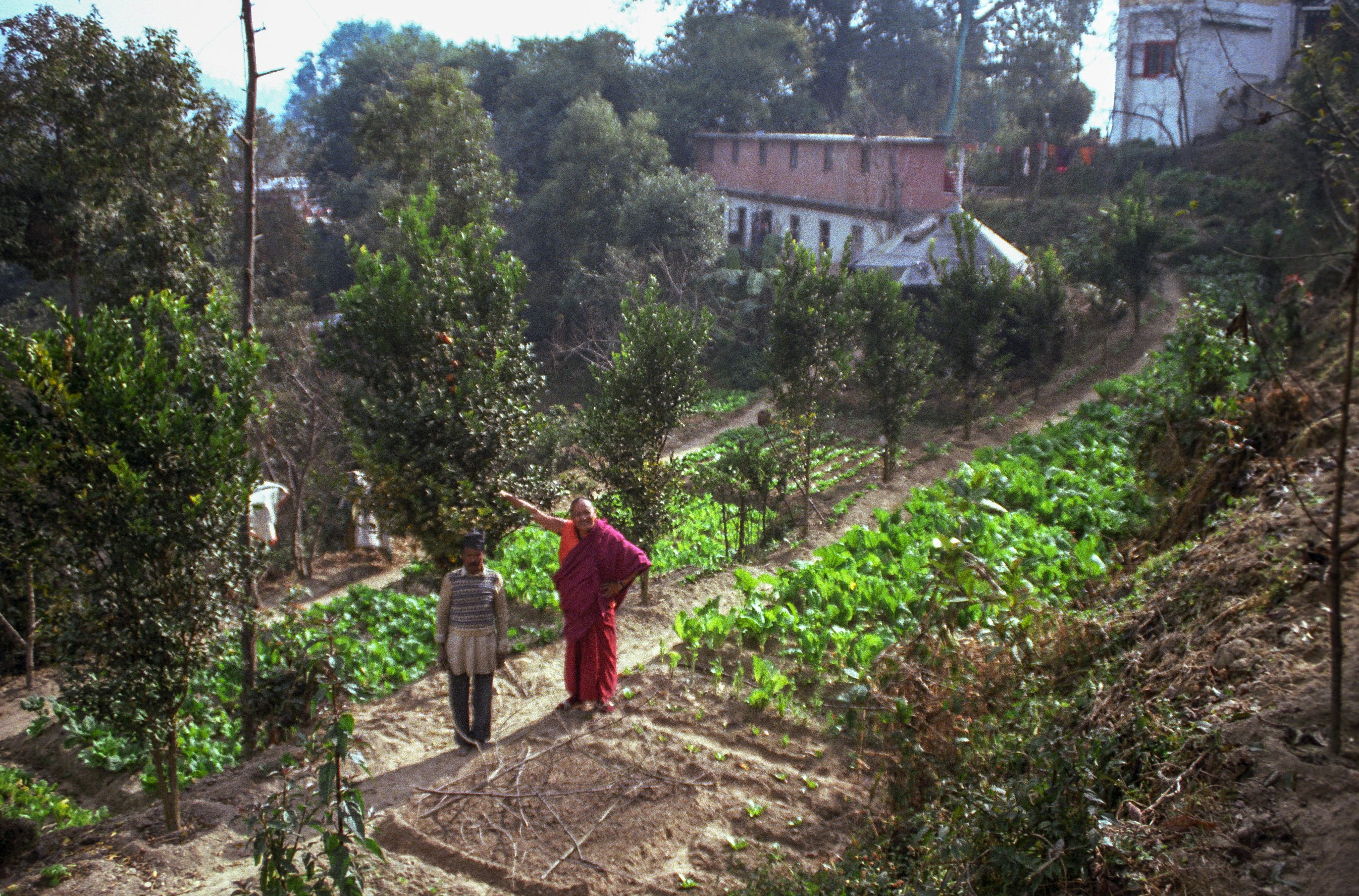 (03567_ng-3.JPG) Lama in the vegetable garden with Bir Bahadur, Kopan Monastery, 1981. In the background is the Sangha House with second story addition. Jan-Paul Kool (photographer)