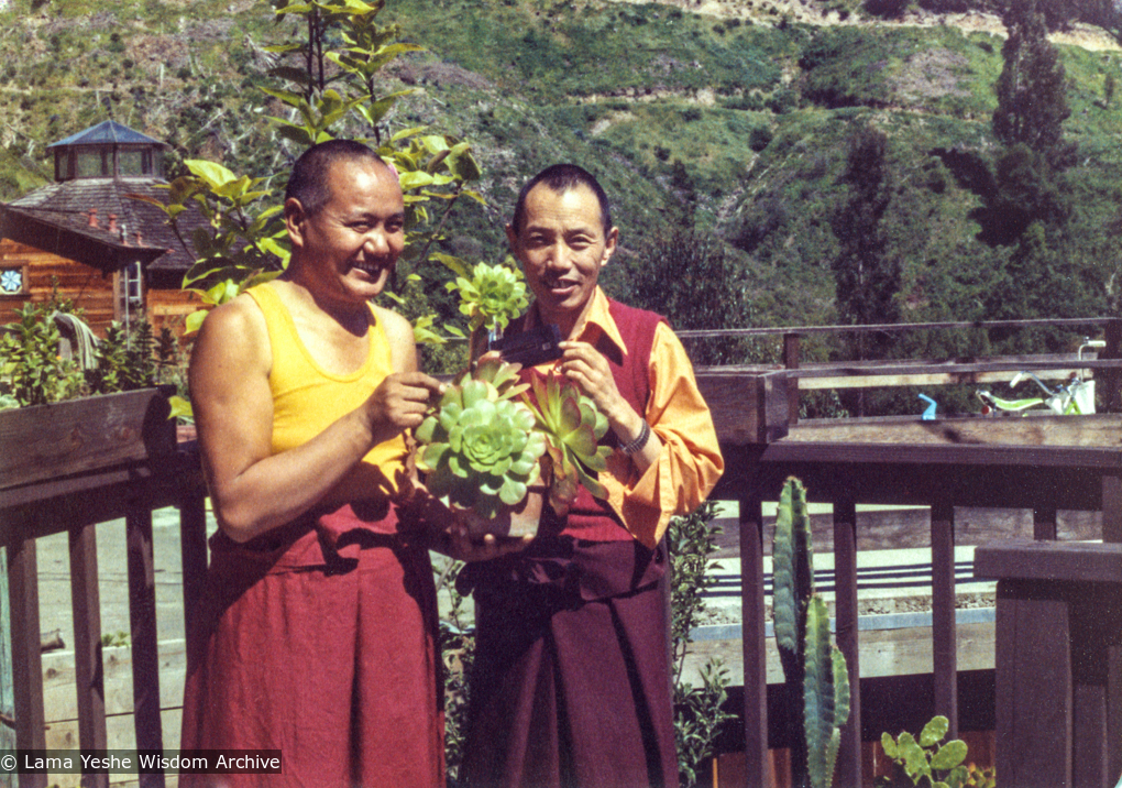 (12957_pr-3.psd) Lama Yeshe and Gyaltrul Rinpoche, California, 1978. Jon Landaw (photographer)