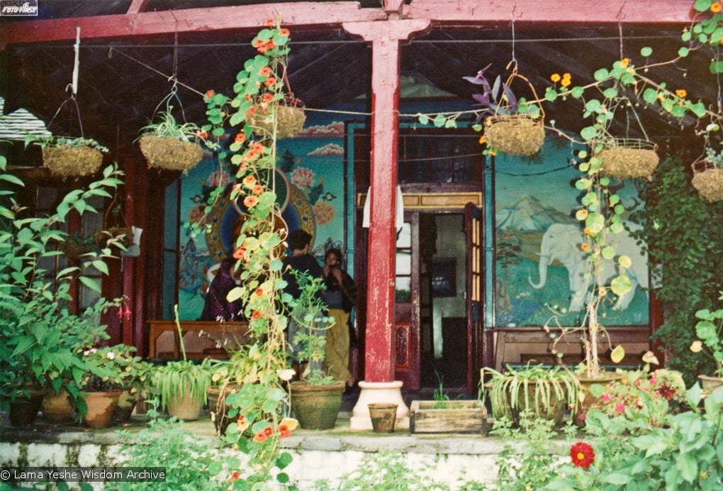 (15182_pr.psd) The painted front veranda at Tushita Retreat Centre, Dharamsala, India. Wim, a Dutch artist who had painted the walls of Lawudo Gompa in 1972, painted a mural of Guru Shakyamuni at Tushita. In 1972, along with a few of their Western students, Lamas Yeshe and Zopa bought an old colonial house on a hill above McLeod Ganj in Dharamsala, India, and there founded Tushita Retreat Centre.