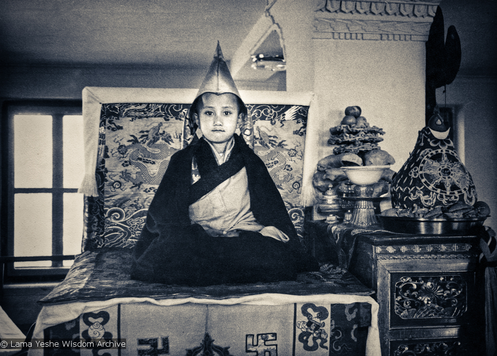 (15903_pr.psd) Enthronement of Yangsi Rinpoche, 1975. Kelsang Puntsog Rinpoche, the son of Lama Yeshe's old friend Jampa Trinley, was later recognized to be the reincarnation of Geshe Ngawang Gendun, one of Lama's teachers. In January 1975 he was enthroned at Kopan Monastery, Nepal, after which occasion he became known to all as Yangsi Rinpoche.