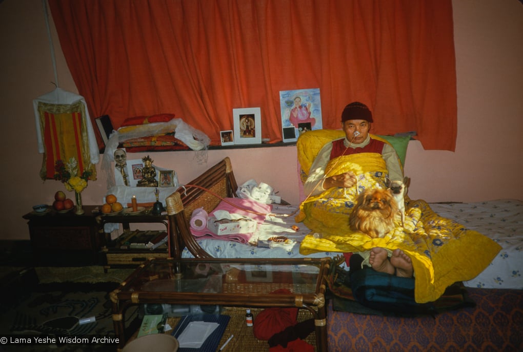 (35699_sl.tif) A photo of Lama Yeshe in Delhi shortly before he was brought to America for treatment of his heart condition. Photo by Lama Zopa Rinpoche.