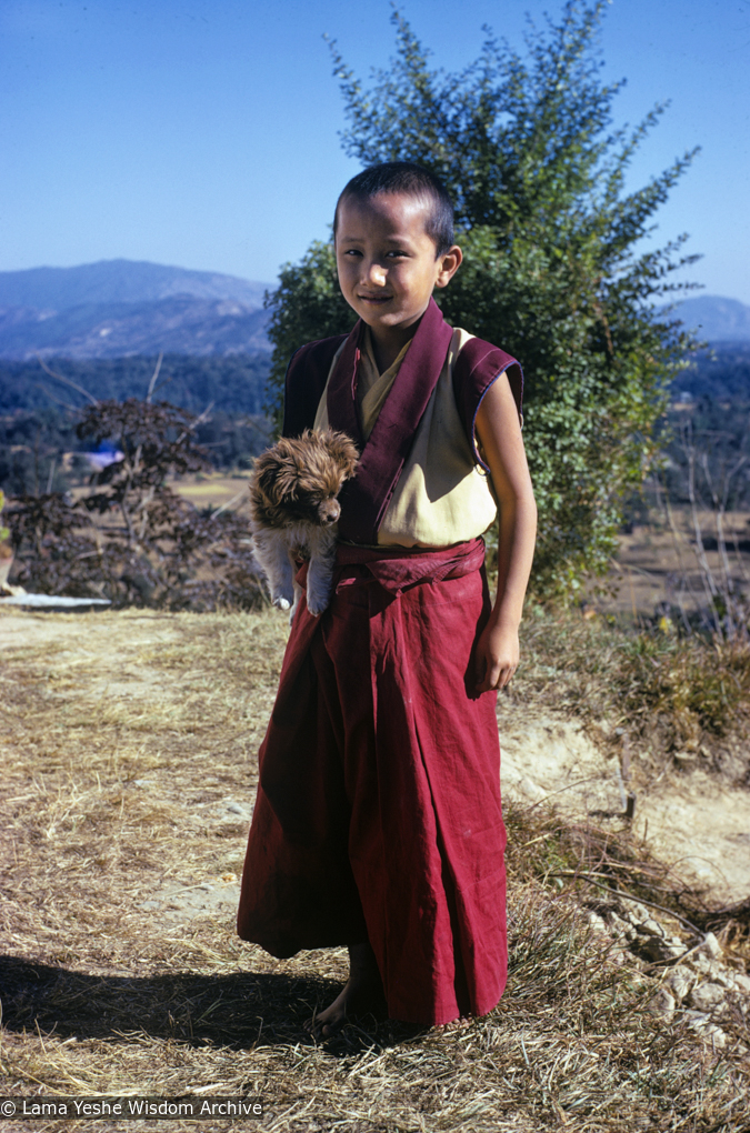 (39320_sl-3.jpg) Yangsi Rinpoche, Kopan Monastery, 1976.