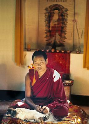 Lama Yeshe meditating with his dog Drolma at Kopan Monastery, Nepal, 1971. Photo: Fred von Allmen. 