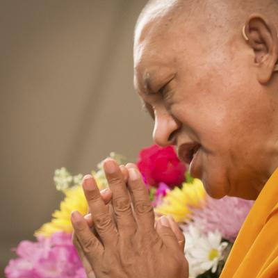 Click to view in our Image Gallery Lama Zopa Rinpoche at the Light of the Path retreat in North Carolina 2014. Photo: Roy Harvey.
