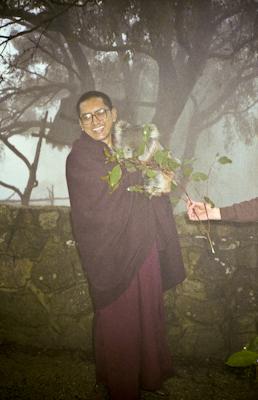 Lama Zopa Rinpoche with koala in Adelaide, Australia, 1983. Photo: Wendy Finster.