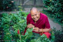 (01836_ud-3.jpg) Lama Yeshe gardening in Berkeley, CA, 1980. Jon Landaw (photographer)