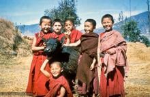 (09829_sl.psd) Mount Everest Center students with a baby water buffalo, Kopan Monastery, Nepal, 1976.