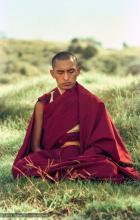 (10481_ng.JPG) Lama Zopa Rinpoche in meditation, 1975. On Saka Dawa (the celebration of Buddha's birth, enlightenment, and death), Lama Yeshe asked everyone to come outside after a Guru Puja for a meditation on the hill behind the gompa. Chenrezig Institute, Australia, May 25, 1975. Photo by Wendy Finster.