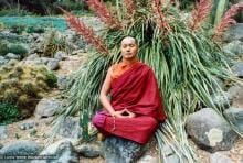 (12530_pr.jpg) Lama Yeshe meditating in the botanical gardens, Berkeley, California, 1974 Photo donated by Judy Weitzner.