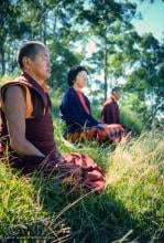 (15970_sl.tif) Lama Yeshe, Beatrice Ribush, and Lama Zopa Rinpoche in meditation. On Saka Dawa (the celebration of Buddha's birth, enlightenment, and death), Lama Yeshe asked everyone to come outside after a Guru Puja for a meditation on the hill behind the gompa. Chenrezig Institute, Australia, May 25, 1975. Photo by Wendy Finster.