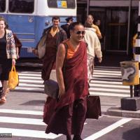 (03771_ng.JPG) Lama arriving in Amsterdam, 1979. Marcel Bertels behind him. Jan-Paul Kool (photographer)