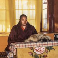 (04643_pr-3.JPG) Lama Yeshe with Yeshe Senge, his dog, Tushita Retreat Centre, Dharamsala, India, 1980.