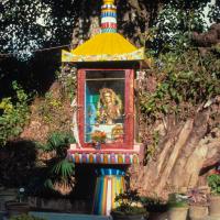 (09598_sl.JPG) Tara statue installed in the glass house overlooking the pond, Kopan Monastery, Nepal, 1976.