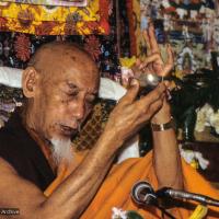 Click to view in our Image Gallery (09962_sl.JPG) Zong Rinpoche during a cycle of pujas that were done for Lama Yeshe before the formal cremation, Vajrapani Institute, California, 1984. Photo by Ricardo de Aratanha.