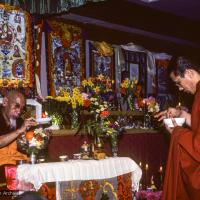 Click to view in our Image Gallery (09969_sl.JPG) A cycle of pujas were done for Lama Yeshe before the formal cremation, Vajrapani Institute, California, 1984. Photo by Ricardo de Aratanha.