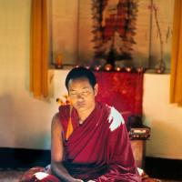 (10529_ud3.jpg) Lama Yeshe meditating with his dog Dolma at the Kopan Monastery, 1971. Photo by Fred von Allmen.