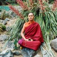 (12530_pr.jpg) Lama Yeshe meditating in the botanical gardens, Berkeley, California, 1974 Photo donated by Judy Weitzner.