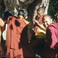 (12925_sl.tif) Lama Yeshe painting Tara, Kopan Monastery, Nepal, 1976. Lama Yeshe sent Max Mathews to buy a large Tara statue in Kathmandu, which was eventually placed in a glass-fronted house on a pedestal overlooking a triangular pond that was built under the ancient bodhi tree in front of the gompa, Kopan Monastery, Nepal. Photo by Peter Iseli.