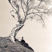 Click to view in our Image Gallery (15148_ng.psd) Ann McNeil (Anila Ann) under a tree on "astrologer's hill", Kopan Monastery, Nepal, 1972. Anila Ann was an early student of the Lamas and one of the first western women to ordain as a nun.