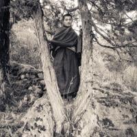 (15149_ng.tif) Lama Zopa Rinpoche posing in a tree, Lawudo Retreat Centre, Nepal,1972