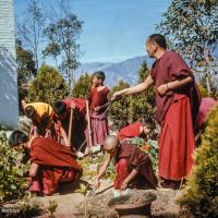 (15318_sl-3.psd) Lama Yeshe with Mount Everest Center students in the garden, Kopan Monastery, 1979.