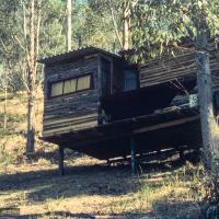 (15847_ng.tif) The lama's cabin at Diamond Valley. The lamas taught their first retreat in Australia at Diamond Valley in southeast Queensland, August, 1974.