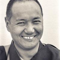 (15932_ng.tif) Portrait of Lama Yeshe, 1975. With the idea of commissioning a statue of Lama Yeshe, Mummy Max (Max Matthews) arranged for a series of shots taken just of his head from every angle, as well as photos of Lama in meditation posture. Photo taken on Saka Dawa (the celebration of Buddha's birth, enlightenment, and death) at Chenrezig Institute, Australia, 1975. Photo donated by Wendy Finster.