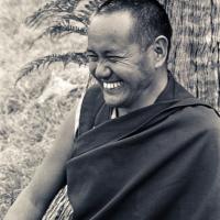 (15959_ng.tif) Portrait of Lama Yeshe, 1975. With the idea of commissioning a statue of Lama Yeshe, Mummy Max (Max Matthews) arranged for a series of shots taken just of his head from every angle, as well as photos of Lama in meditation posture. Photo taken on Saka Dawa (the celebration of Buddha's birth, enlightenment, and death) at Chenrezig Institute, Australia, 1975. Photo donated by Wendy Finster.