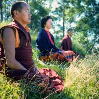 (15970_sl.tif) Lama Yeshe, Beatrice Ribush, and Lama Zopa Rinpoche in meditation. On Saka Dawa (the celebration of Buddha's birth, enlightenment, and death), Lama Yeshe asked everyone to come outside after a Guru Puja for a meditation on the hill behind the gompa. Chenrezig Institute, Australia, May 25, 1975. Photo by Wendy Finster.