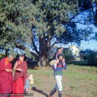 (16734_ng.tif)  Lama Yeshe and Yeshe Khadro (Marie Obst) visiting the Dandenong Ranges near Melbourne, Australia with Peter Stripes and his two eldest children, 1976.