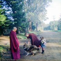 (16736_ng.tif)  Lama Yeshe and Yeshe Khadro (Marie Obst) visiting the Dandenong Ranges near Melbourne, Australia with Peter Stripes and his two eldest children, 1976.