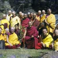 (16746_sl.psd) Ordination group with Lama Yeshe, 1976. Front row: George Churinoff (Karin Valham behind him), Elisabeth Drukier, Dieter Kratzer, (Losang Nyima behind him), Lama Yeshe, Thubten Pende (Jim Dougherty), Steve Malasky (Steve Pearl). Gareth Sparham and Marcel Bertels are behind Pende and Steve. Back row (standing): Margaret McAndrew, Adrian Feldmann (Thubten Gyatso), Scott Brusso, Ursula Bernis, Wendy Finster, unknown tibetan monk, in back Angeles de la Torre, Jeffery Webster, unknown 