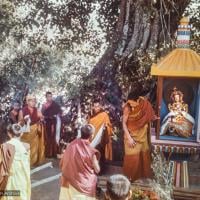 (16768_sl.tif) Installing the Tara statue, Kopan Monastery, Nepal, 1976. Lama Pasang is to the left of the glass house which holds Tara.