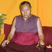 Click to view in our Image Gallery (17141_ng.TIF) Over one weekend at Barnens O on Vaddo in September of 1983, Lama Yeshe gave a meditation course which later was published in English called "Light of Dharma", translated into Swedish as "Lamas ljus". Photos by Holger Hjorth. You can read a transcript here: http://www.lamayeshe.com/index.php?sect=article&id=719