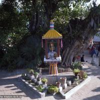 (22859_ng.tif) Tara Pond at Kopan Monastery, Nepal, 1979.