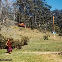 (36647_ng-3.jpg) Lama Yeshe at Diamond Valley course, 1974. Wendy Hobbs (photographer)