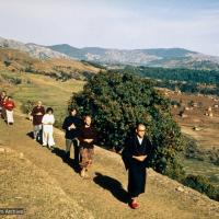 (39232_pr-3.jpg) Zengo leading walking meditation on Kopan Hill, Kopan Monastery, Nepal, 1971.