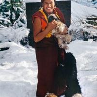 (39562_sl-3.psd) Lama Yeshe in the snow with his dogs, Tushita Retreat Centre, Dharamsala, India, 1982.