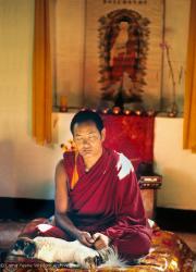 (10529_ud3.jpg) Lama Yeshe meditating with his dog Dolma at the Kopan Monastery, 1971. Photo by Fred von Allmen.