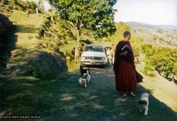 (15175_pr.psd) Zina Rachevsky walking uphill to the Kopan Monastery, 1972. Zina was an eccentric Russian-American socialite, the child of a Russian expat father and a German-Jewish mother, who became the Lamas' first Western student in 1966, and who insisted that the Lamas start to teach courses on Buddhism for Westerners. She helped the Lamas found what would later come to be known as Kopan Monastery in Nepal. (Photo used with permission of the estate of Zina Rachevsky.)