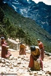 (15207_sl.psd) Mount Everest Centre novice monks picking up rocks at  Lawudo Retreat Centre, Nepal, 1973.