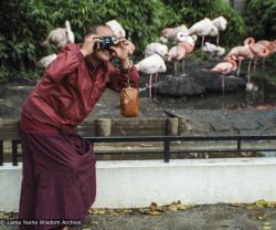 Lama Yeshe taking photos of people taking photos at the zoo in Amsterdam, 1980. Photo by Jan-Paul Kool.