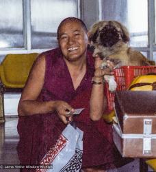 (22238_ng-3.psd) Lama Yeshe with his dog, Yeshe Senge at Tribhuvan Airport, Nepal, 1982.