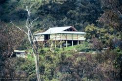 (37335_ng.psd) The Chenrezig Institute gompa (meditation hall), 1975. From the collection of images of Lama Yeshe, Lama Zopa Rinpoche and the Sangha during a month-long course at Chenrezig Institute, Australia.