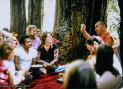 (39354_ud-3.psd) Lama and students on Vajrapani land, CA, 1977. Lama asked where the property boundary was and went running up to the highest point on a steep ridge. In some places the land was almost vertical. Lama gave a teaching then and there in a small redwood grove on the property. Walter Klopfenstein in purple shirt. Carol Fields (donor)