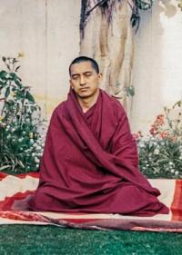 Lama Zopa Rinpoche sitting under the bodhi tree at Tushita-Delhi, Shantiniketan, India, 1979. Photo: Ven. Roger Kunsang.