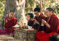 (12736_sl-2.psd) Lama Yeshe and Lama Zopa Rinpoche doing puja (spiritual practice) with Tenzin Norbu under the tree, Kopan Monastery, Nepal, 1976. Photo by Jon Landaw.